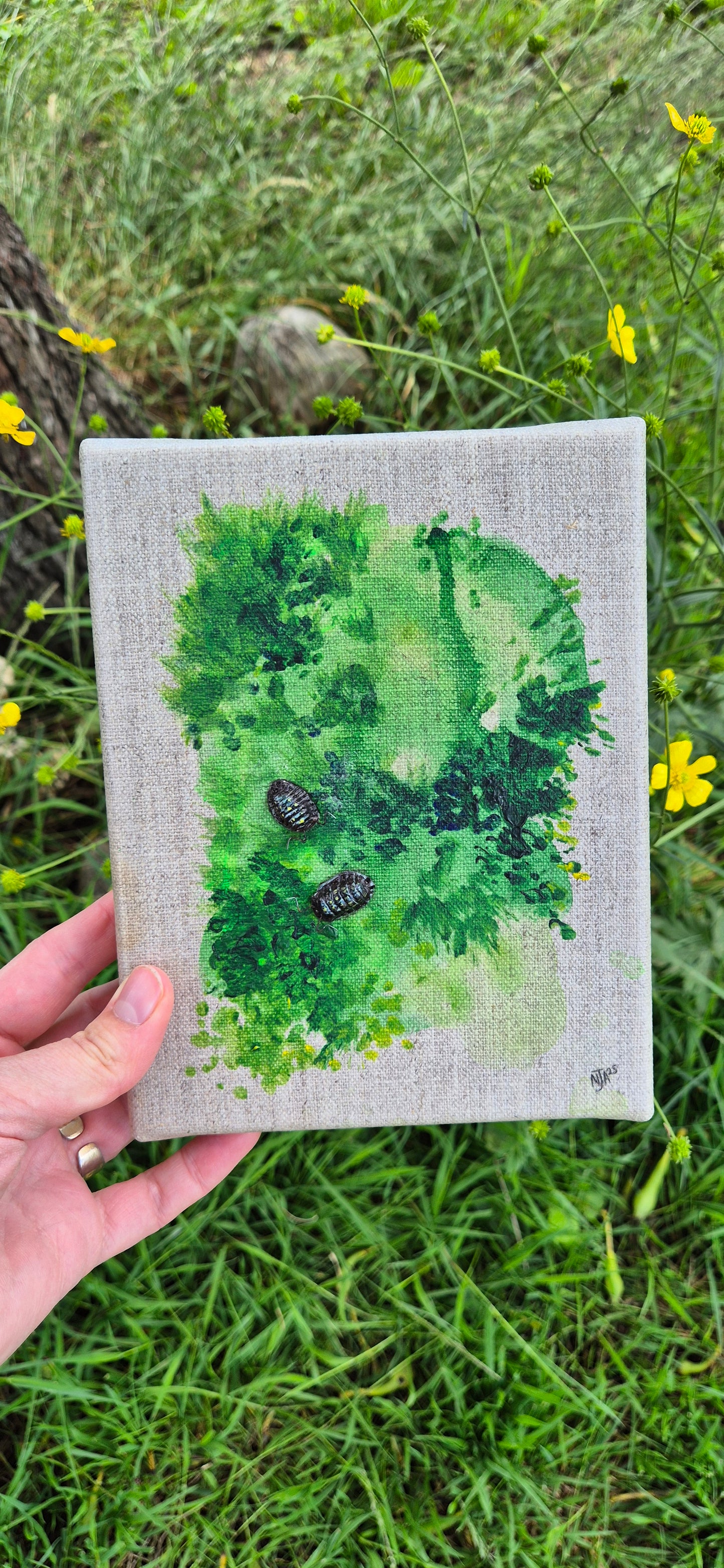 Woodlouse study 3: Co-regulate with me