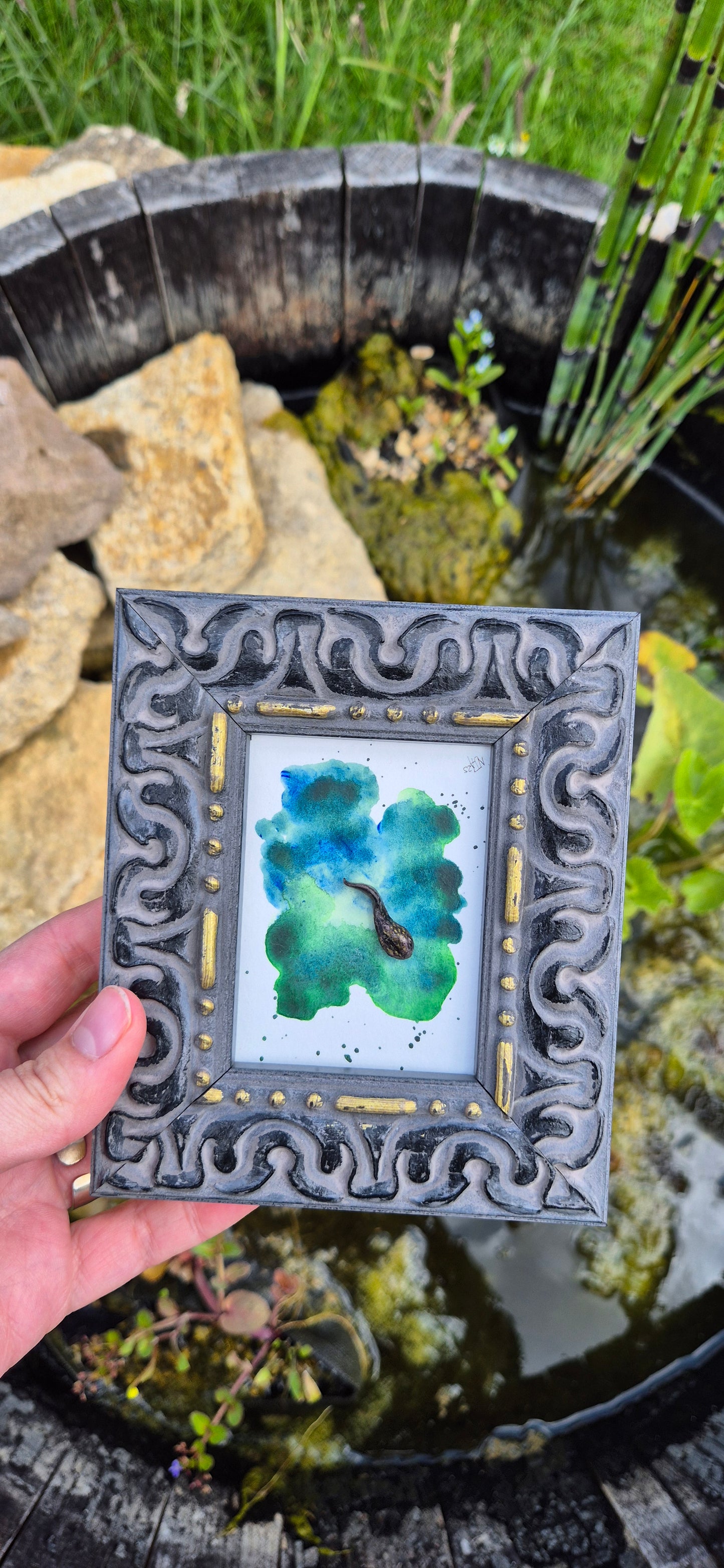 A splash of tadpole