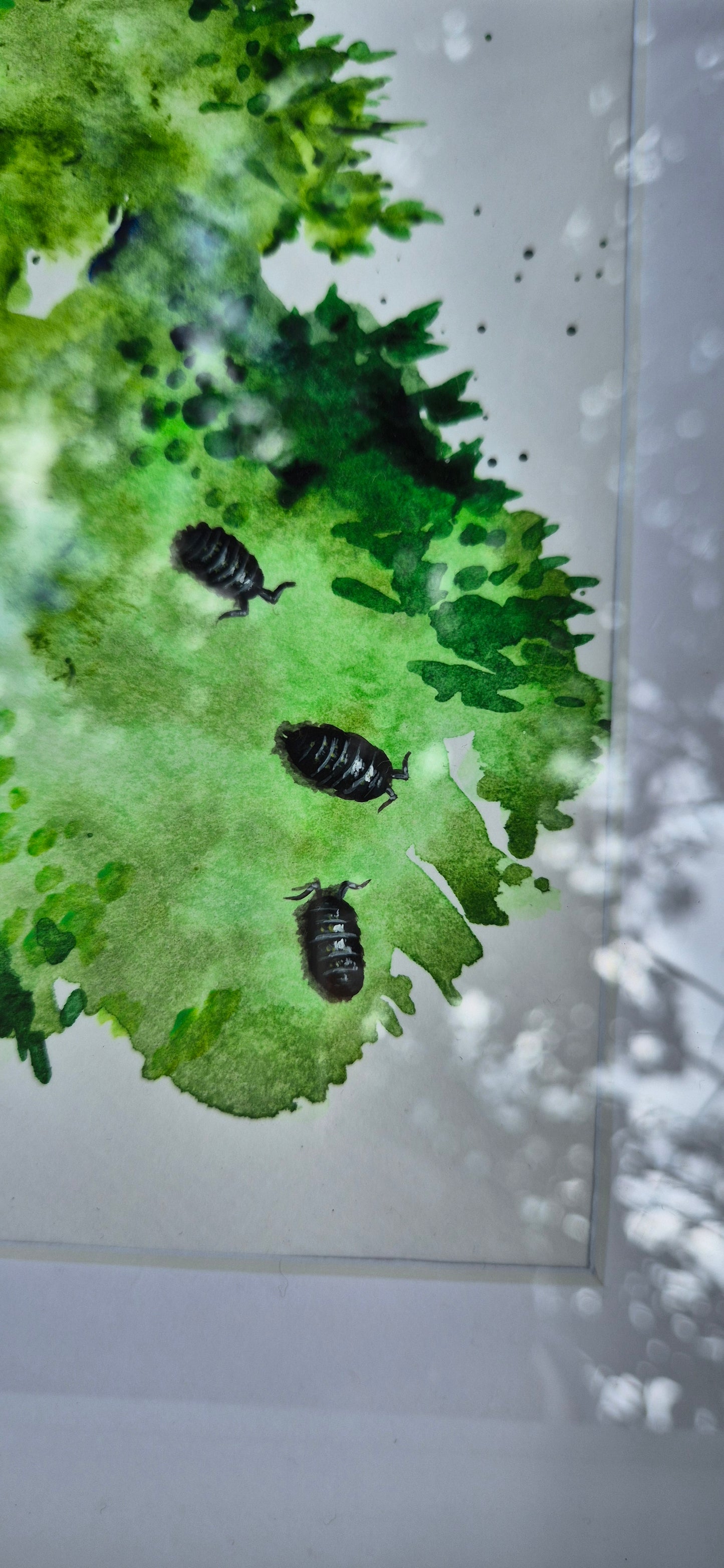Woodlouse study 6: Let's do this together