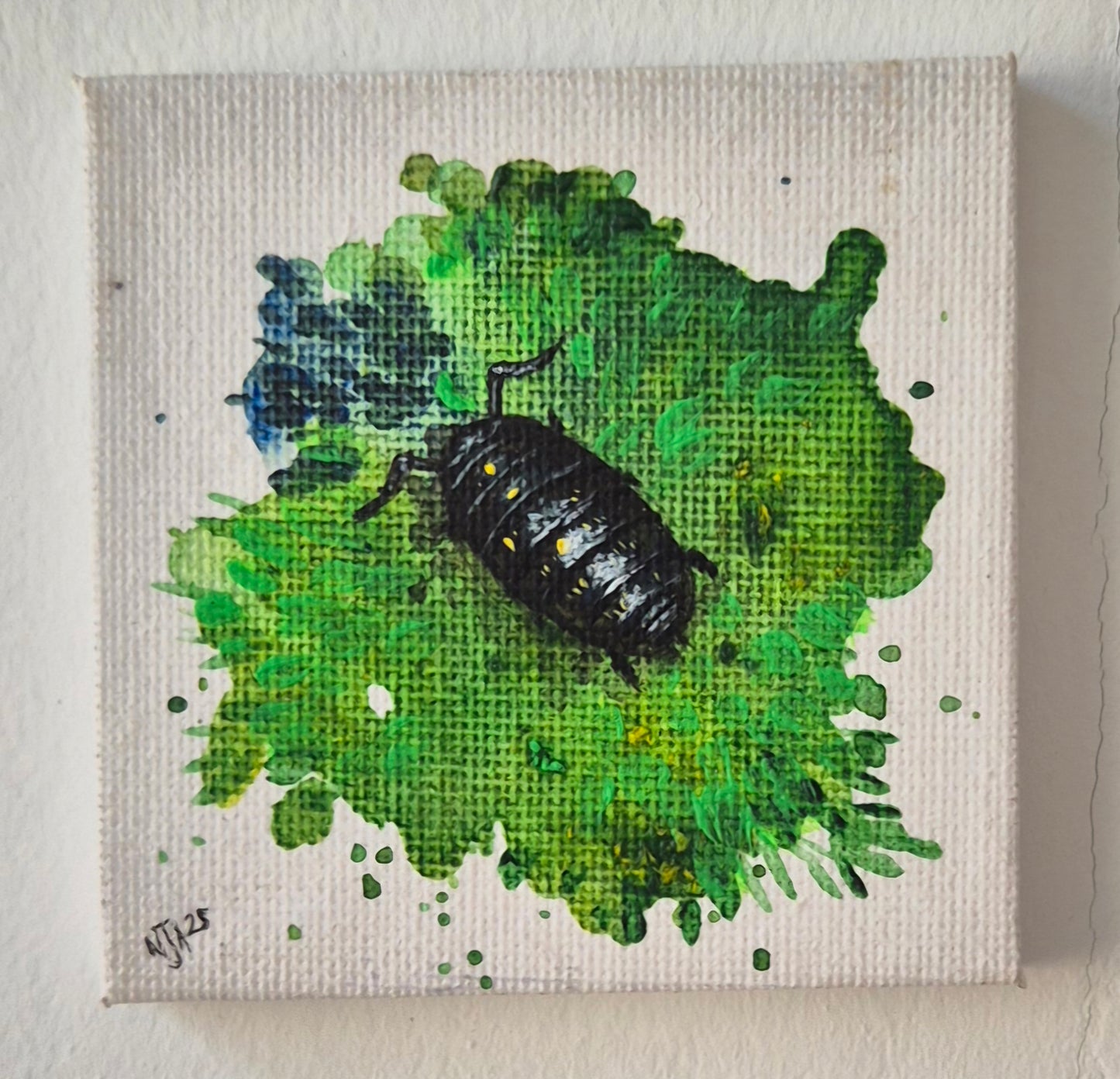 Woodlouse study I: Small and shiny
