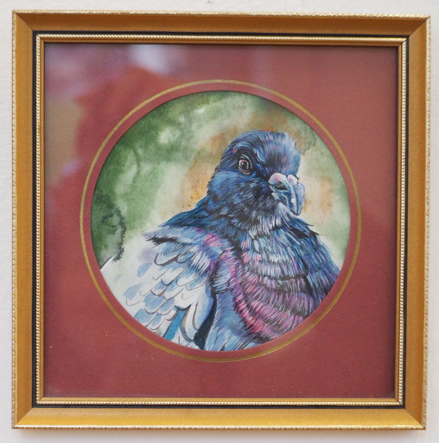 Colour vision pigeon