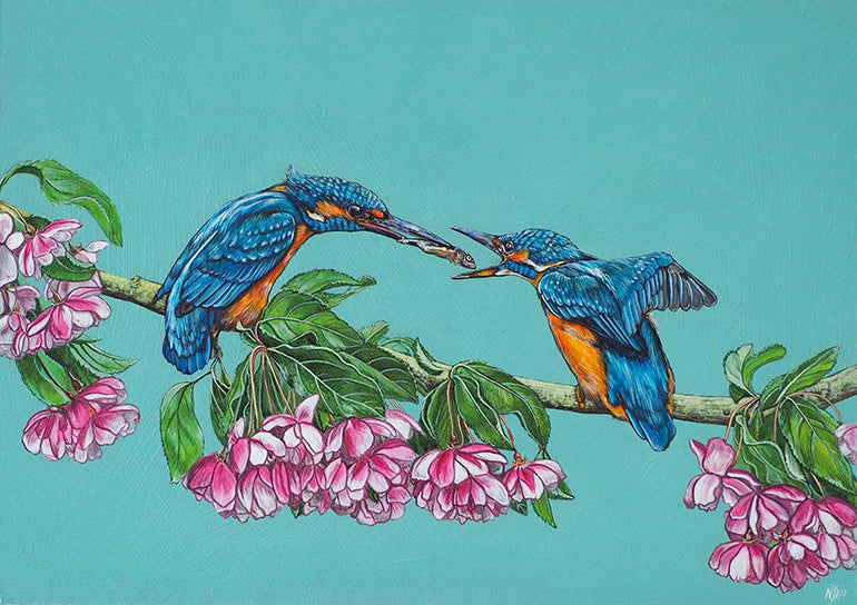 Kingfisher courtship