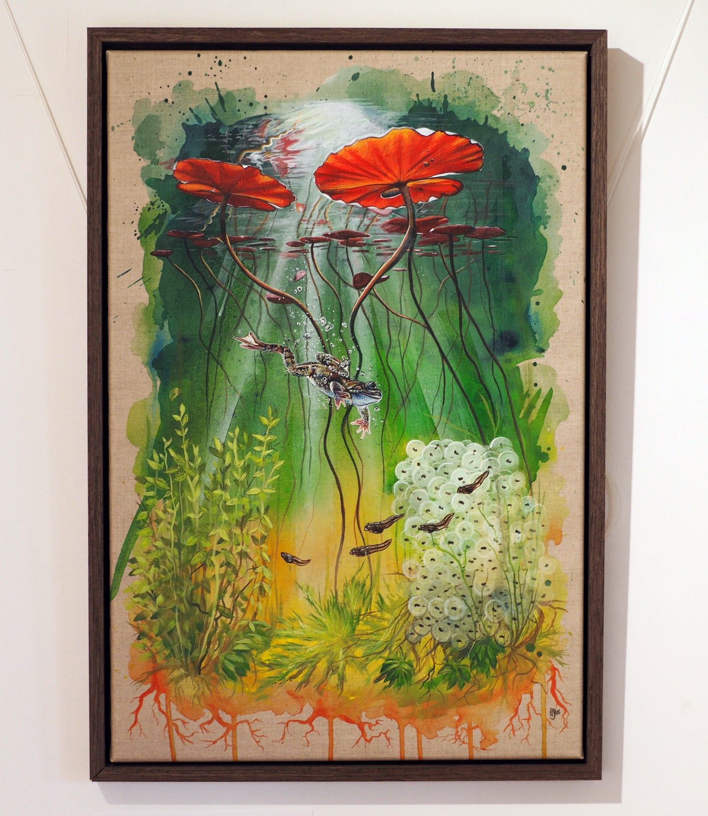 It's a frogs life - limited edition print