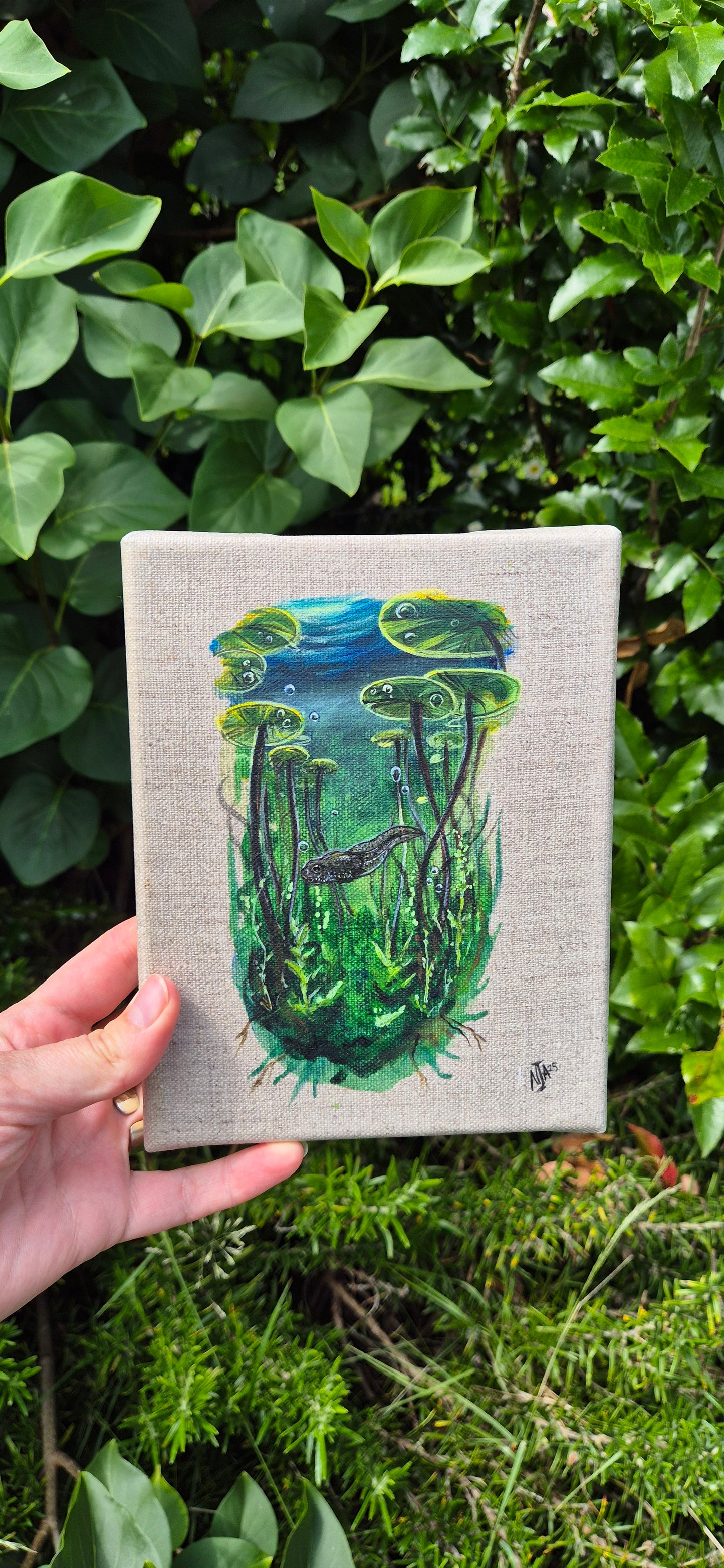 Beneath the lily pads