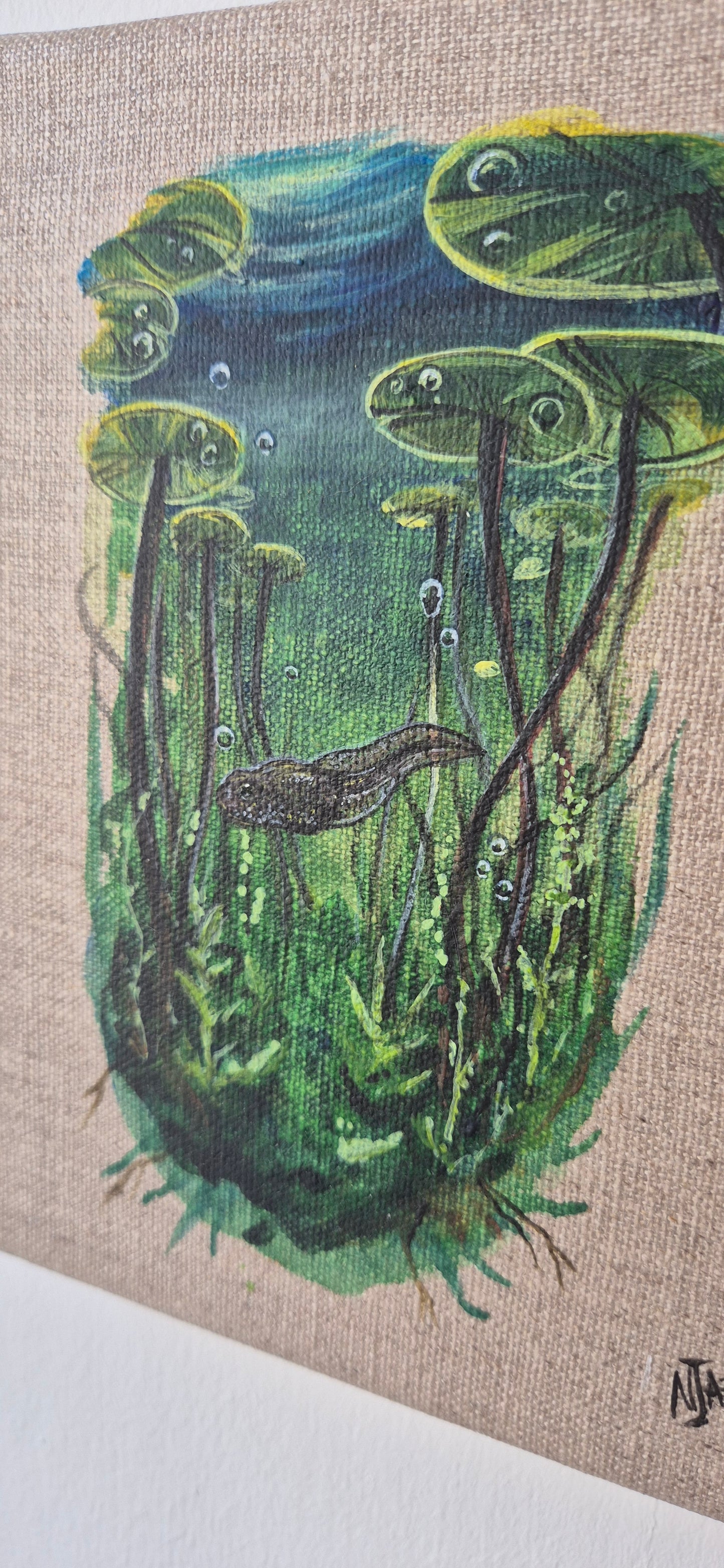 Beneath the lily pads