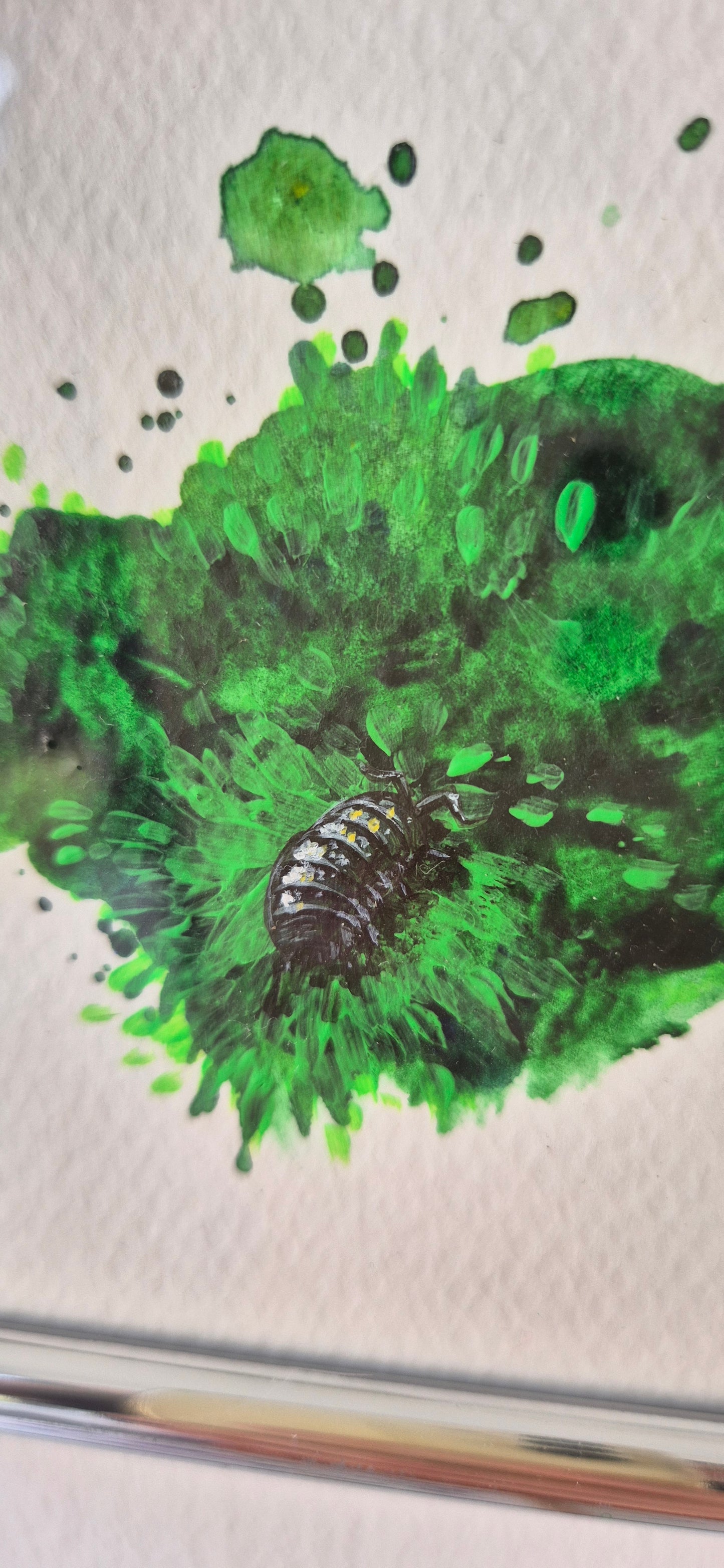 Woodlouse study 4: Going in deeper