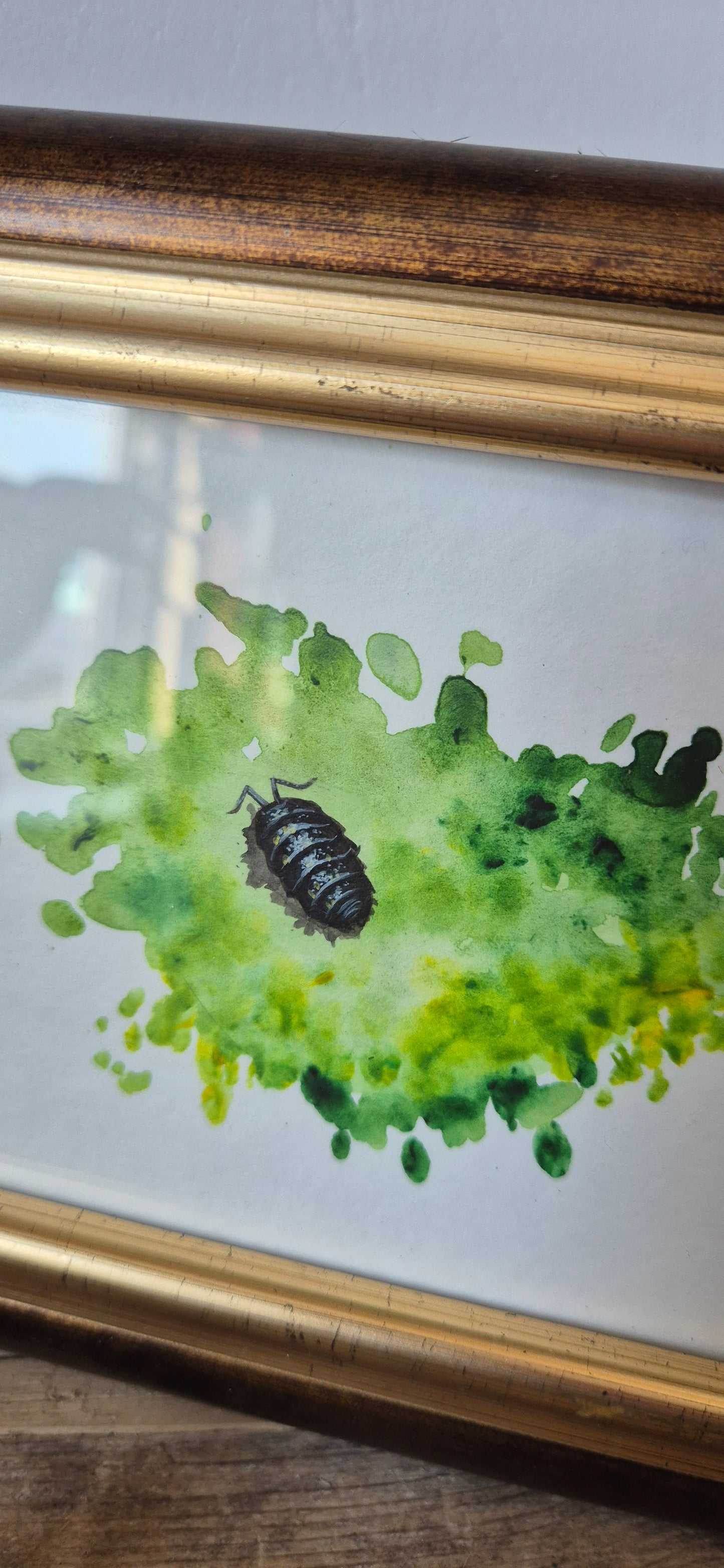 Woodlouse study 2: Woodland wander