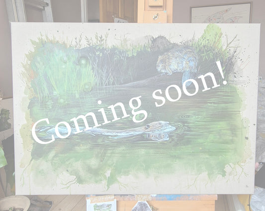 COMING SOON - The beavers return