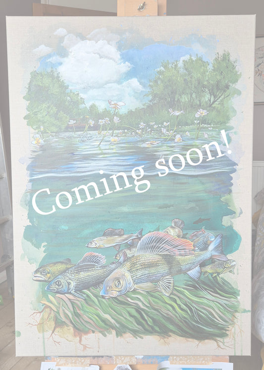 COMING SOON - The glorious chalk stream