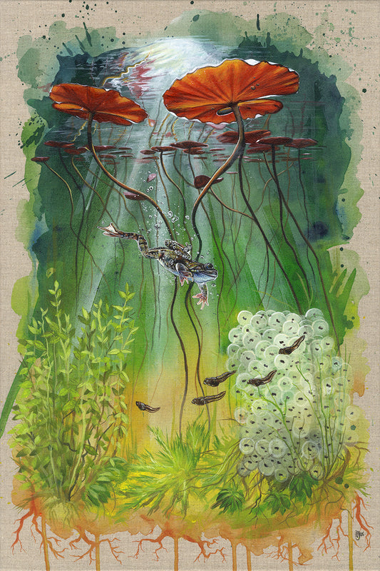 It's a frogs life - limited edition print