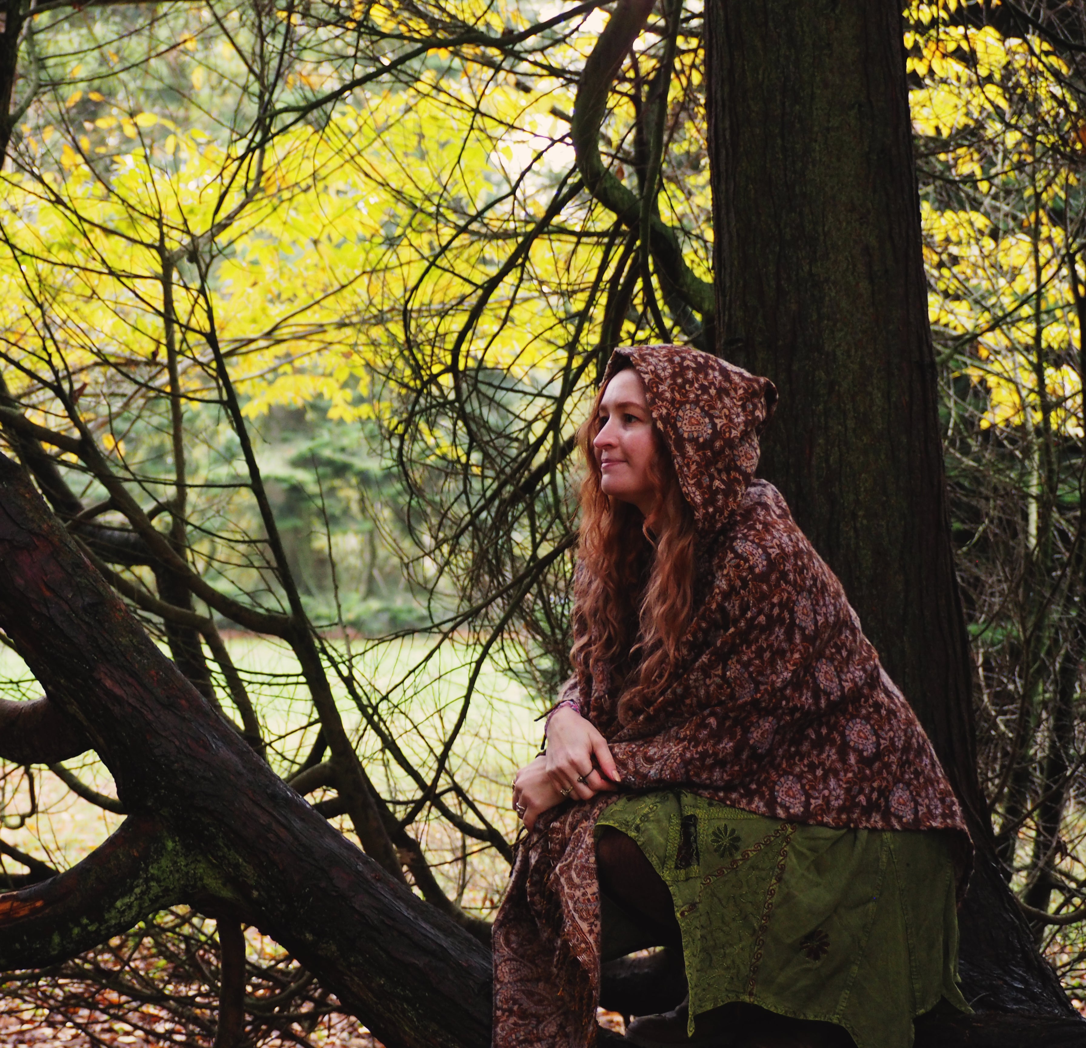 Naomi Joy, eco wildlife artist, sitting in an Autumn woodland wearing a brown cape.