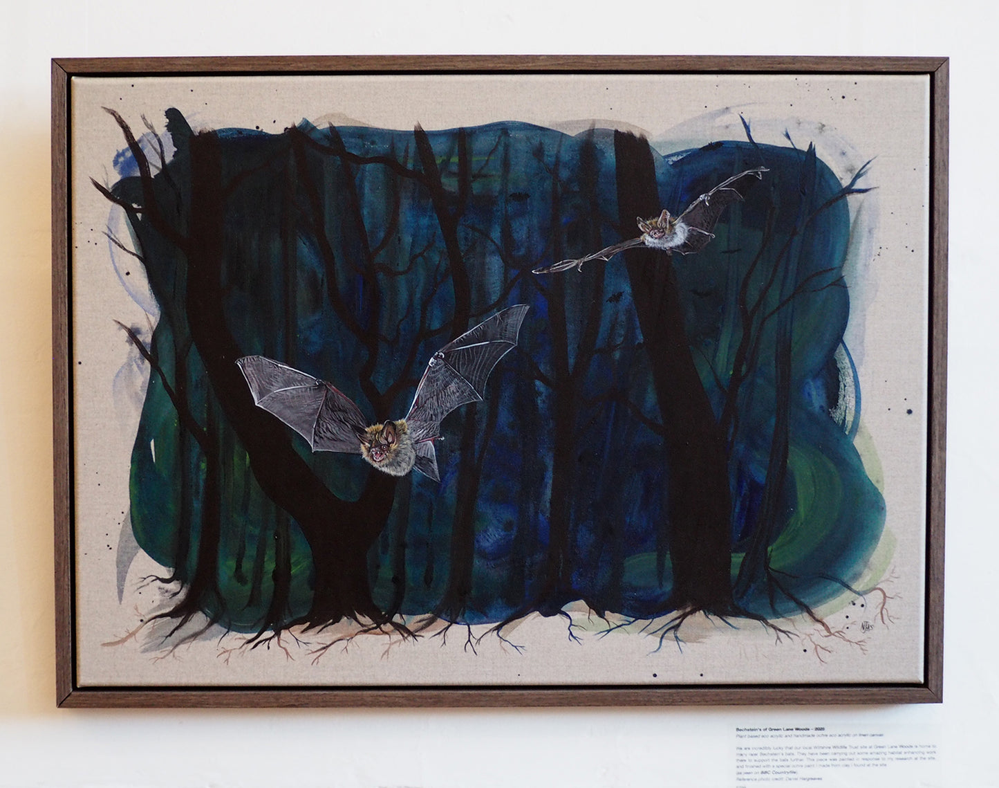 Bechstein's of Green Lane Woods