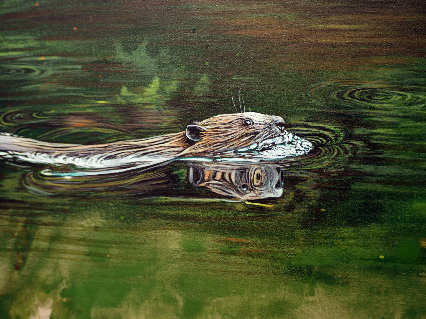 The beavers return - limited edition print