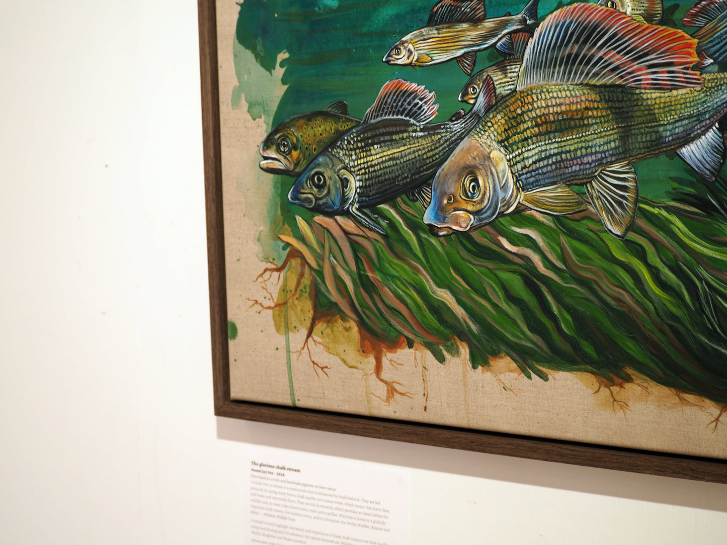 The glorious chalk stream - limited edition print