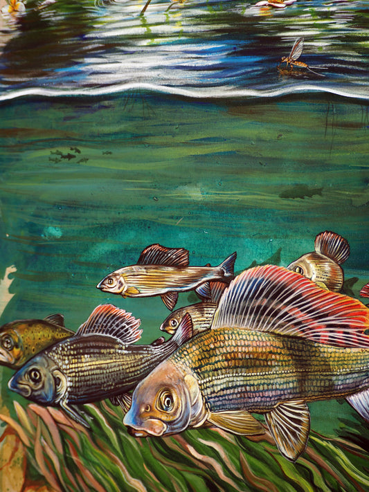 The glorious chalk stream - limited edition print