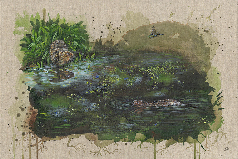 Welcome water voles - limited edition print