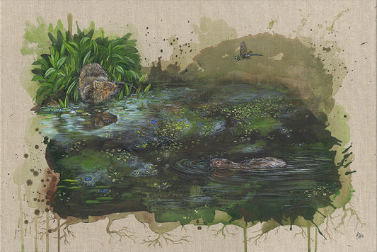 Welcome water voles - limited edition print