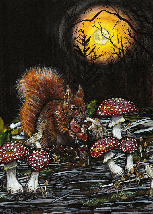 September squirrel